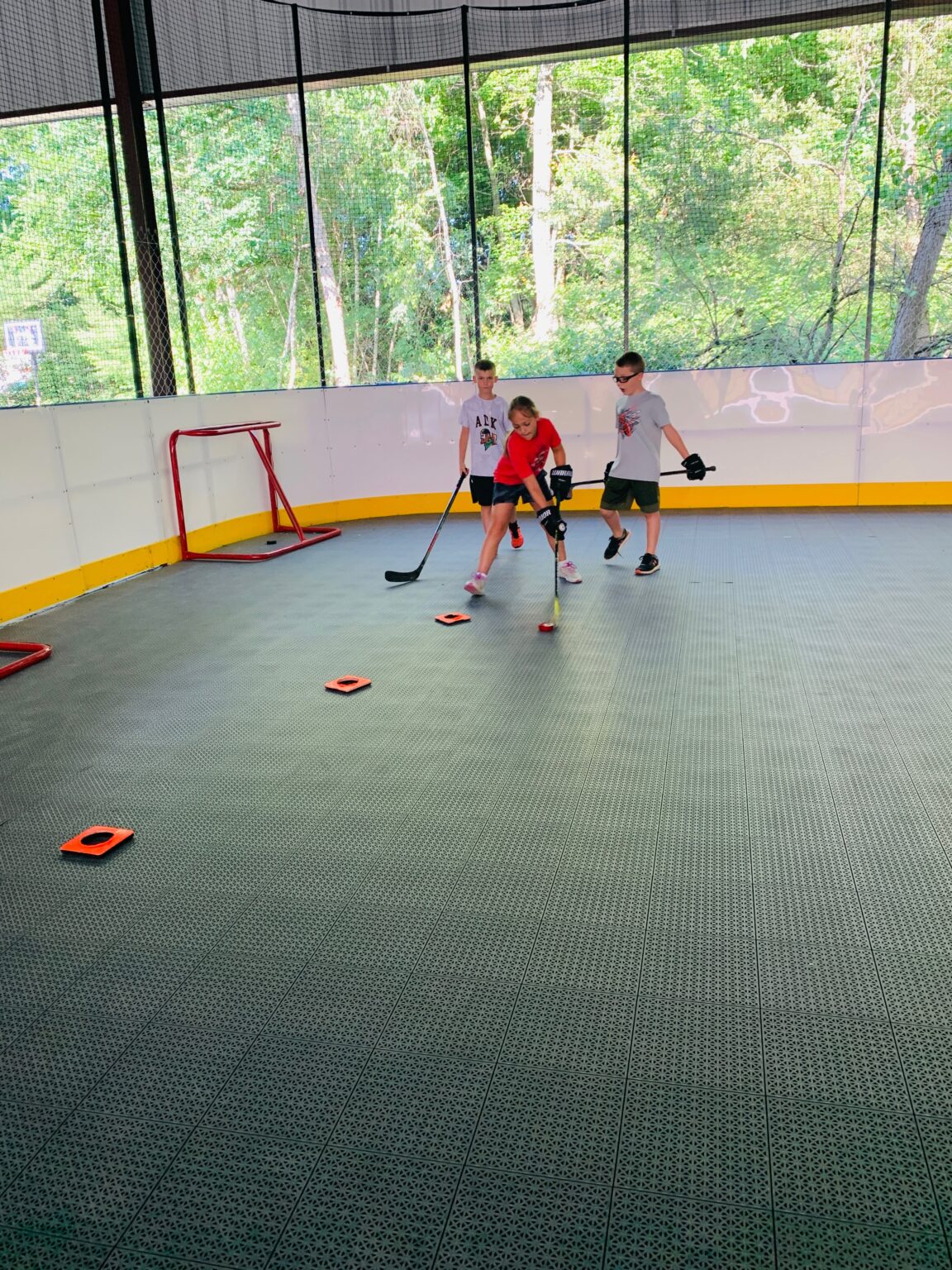 Hockey Summer Camps for Kids Register Today